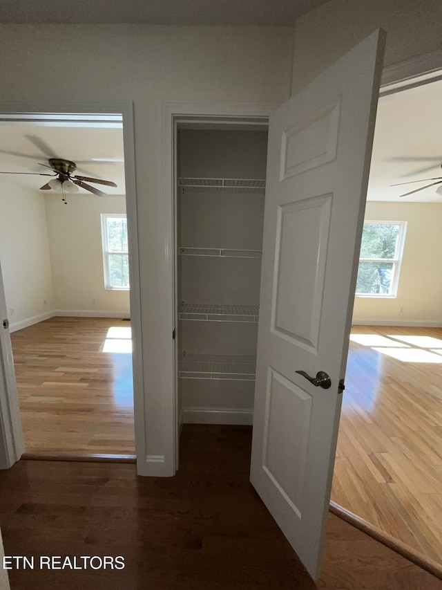 view of closet