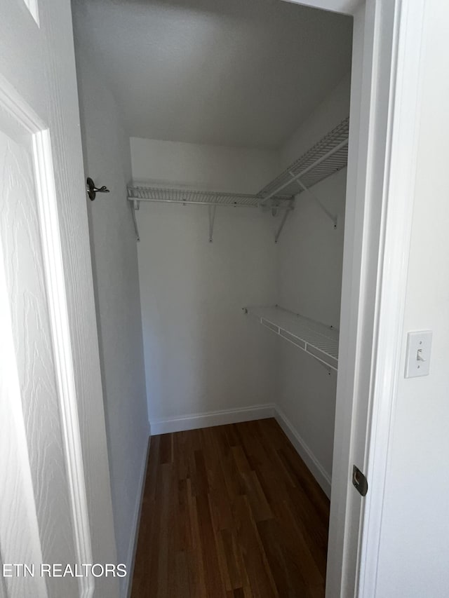 walk in closet featuring dark wood-style floors