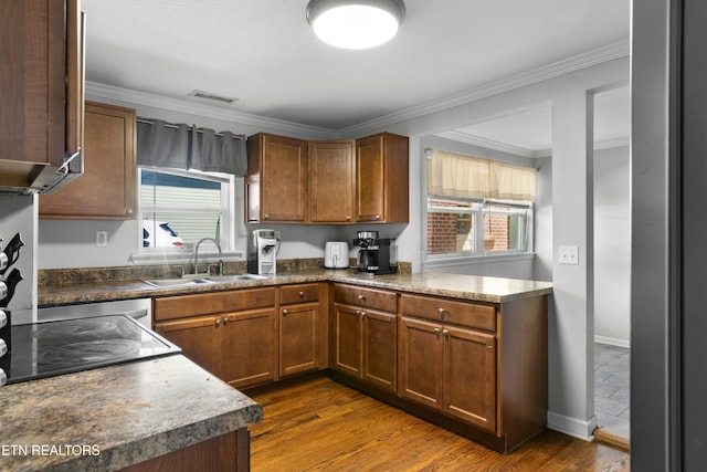 kitchen with visible vents, dark countertops, dark wood-style floors, ornamental molding, and a sink