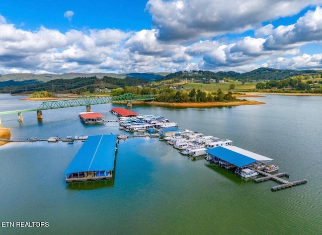 birds eye view of property with a water and mountain view