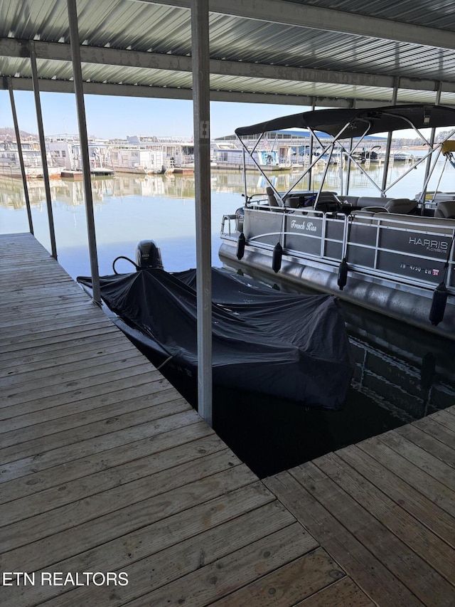 dock area with a water view