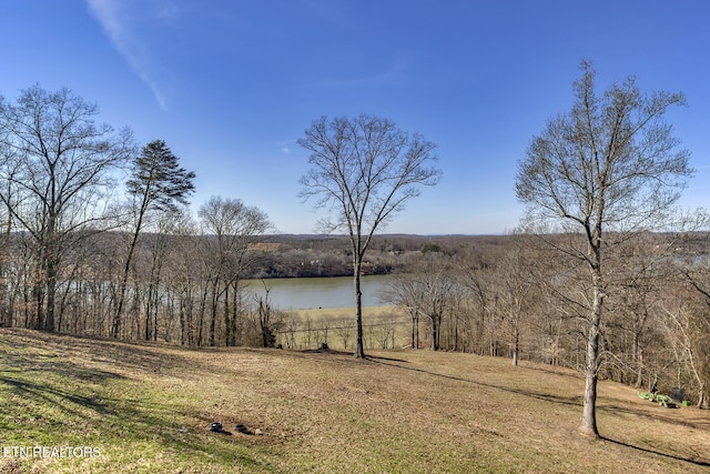 245 Harrison Bend Rd, Loudon, TN 37774 - water view