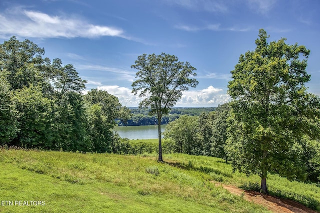 245 Harrison Bend Rd, Loudon, TN 37774 - photo 10