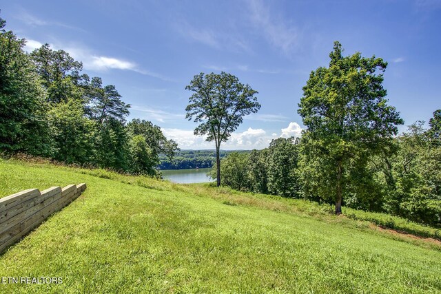 245 Harrison Bend Rd, Loudon, TN 37774 - photo 50