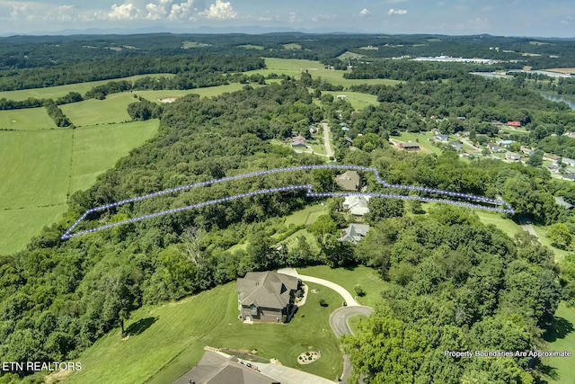 245 Harrison Bend Rd, Loudon, TN 37774 - photo 57