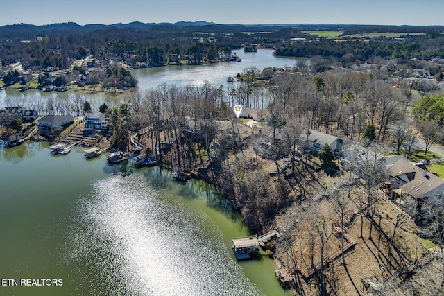 birds eye view of property featuring a water view and a view of trees