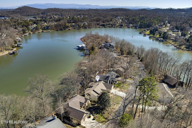 drone / aerial view with a water view and a wooded view