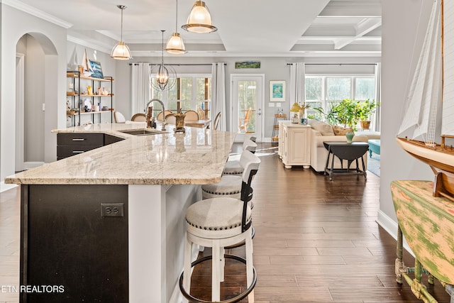 kitchen featuring crown molding, dark wood finished floors, a healthy amount of sunlight, and a sink