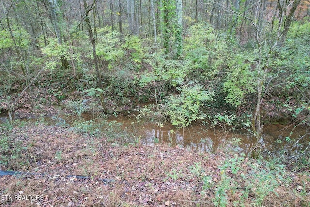 view of local wilderness with a forest view