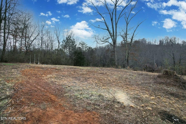 view of local wilderness with a wooded view