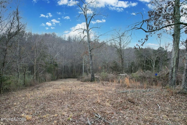 view of nature featuring a wooded view