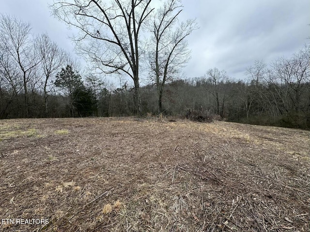 view of nature featuring a forest view