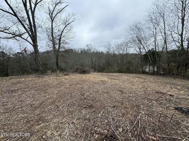 view of local wilderness with a view of trees