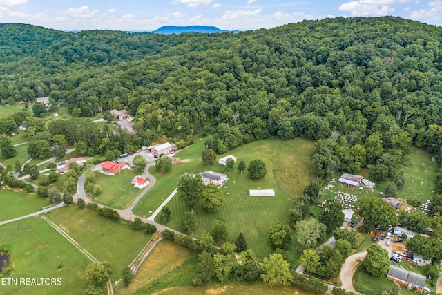 bird's eye view with a view of trees