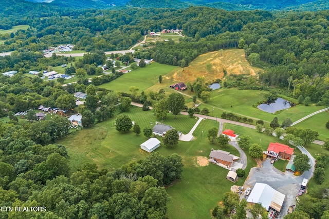 bird's eye view with a water view and a wooded view