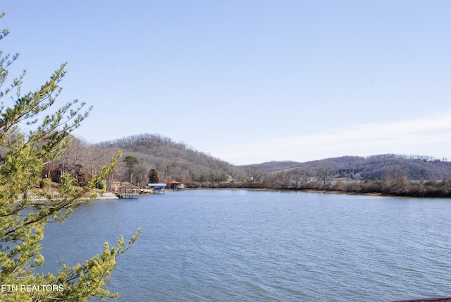 Rockwood TN, 37854 land for sale