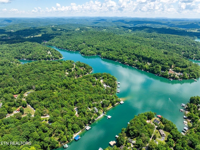 bird's eye view with a water view and a forest view