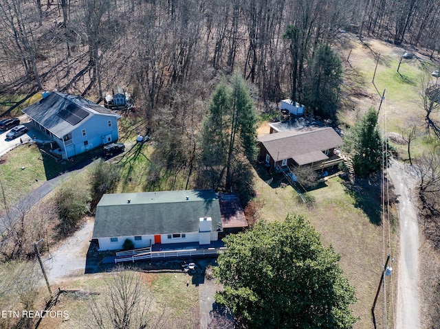 bird's eye view