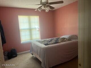 bedroom featuring light carpet, ceiling fan, multiple windows, and baseboards