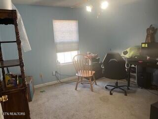 office with carpet floors and baseboards