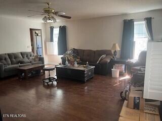 living area with dark wood-type flooring, plenty of natural light, and a ceiling fan