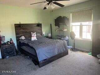 bedroom with ceiling fan and carpet flooring