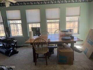 view of carpeted dining area