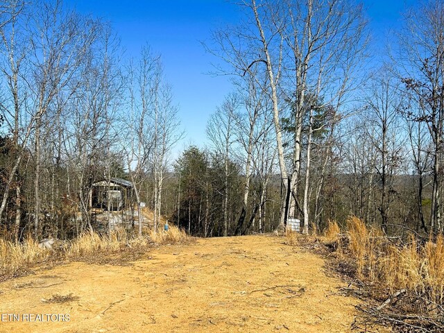 3211 N Hunter Bend Rd, Decatur, TN 37322 - photo 10