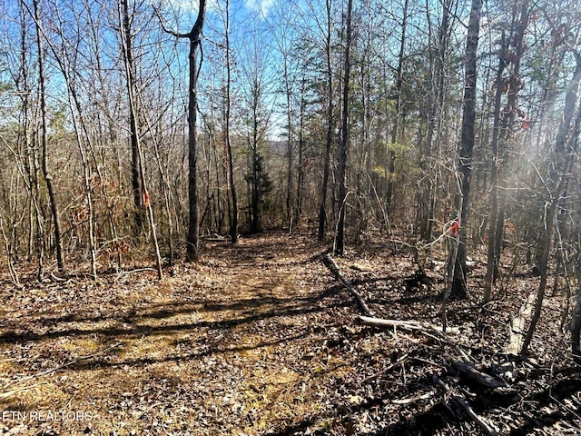 3211 N Hunter Bend Rd, Decatur, TN 37322 - photo 11
