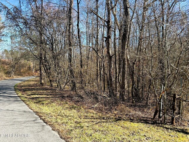 3211 N Hunter Bend Rd, Decatur, TN 37322 - photo 55