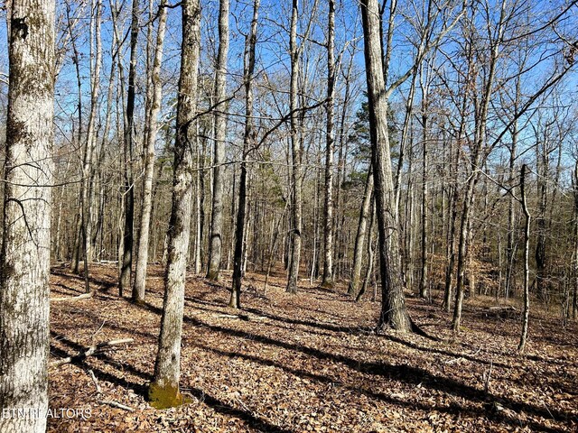 3211 N Hunter Bend Rd, Decatur, TN 37322 - photo 12