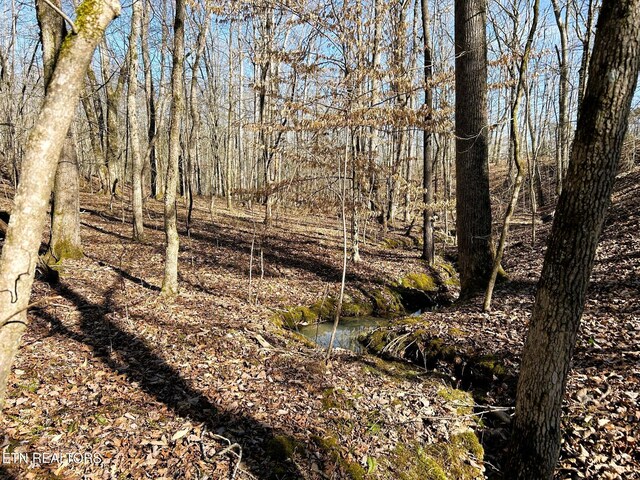 3211 N Hunter Bend Rd, Decatur, TN 37322 - photo 15