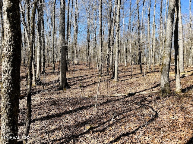 3211 N Hunter Bend Rd, Decatur, TN 37322 - photo 18