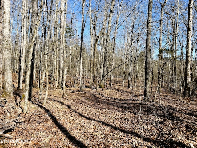 3211 N Hunter Bend Rd, Decatur, TN 37322 - photo 19