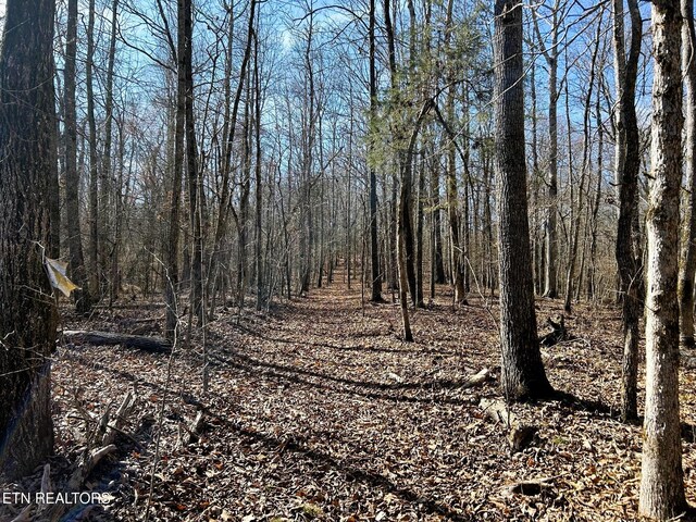 3211 N Hunter Bend Rd, Decatur, TN 37322 - photo 20