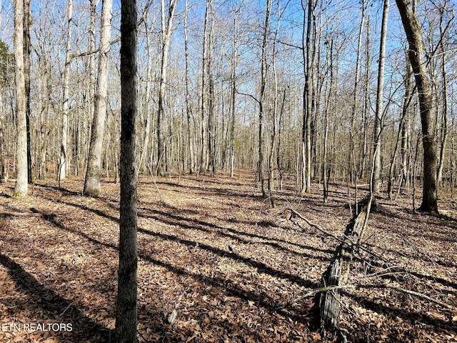 3211 N Hunter Bend Rd, Decatur, TN 37322 - photo 21