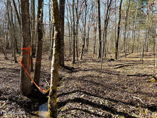 3211 N Hunter Bend Rd, Decatur, TN 37322 - photo 25