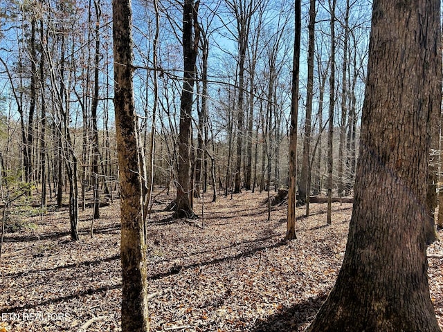 3211 N Hunter Bend Rd, Decatur, TN 37322 - photo 26
