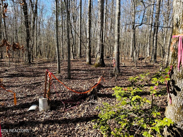 3211 N Hunter Bend Rd, Decatur, TN 37322 - photo 27