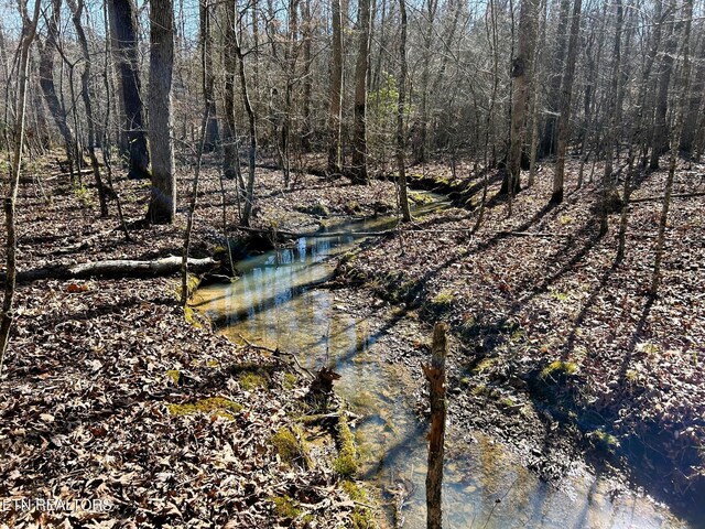 3211 N Hunter Bend Rd, Decatur, TN 37322 - photo 28