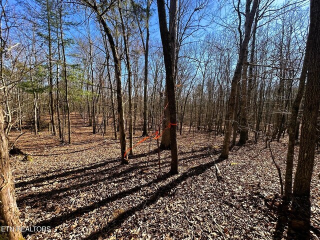 3211 N Hunter Bend Rd, Decatur, TN 37322 - photo 34