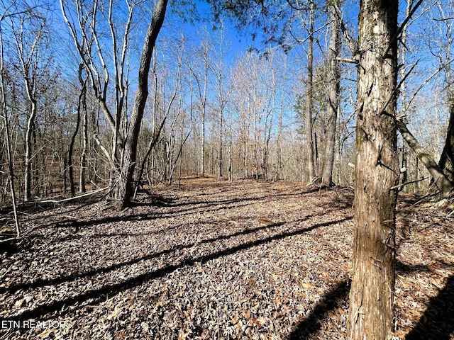 3211 N Hunter Bend Rd, Decatur, TN 37322 - photo 36