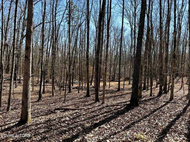 3211 N Hunter Bend Rd, Decatur, TN 37322 - photo 37