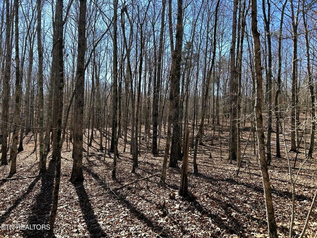 3211 N Hunter Bend Rd, Decatur, TN 37322 - photo 38
