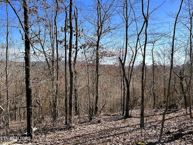 3211 N Hunter Bend Rd, Decatur, TN 37322 - photo 40