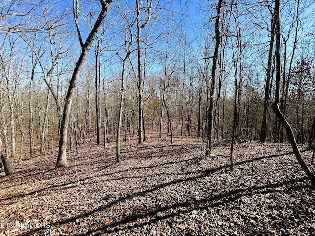 3211 N Hunter Bend Rd, Decatur, TN 37322 - photo 41