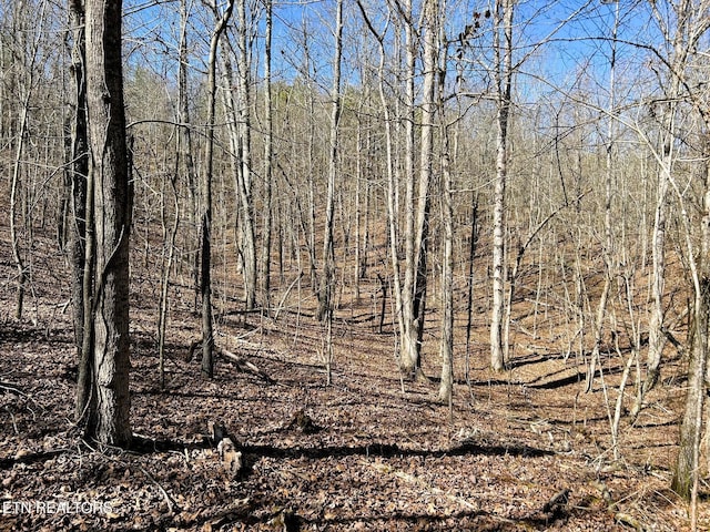 3211 N Hunter Bend Rd, Decatur, TN 37322 - photo 42