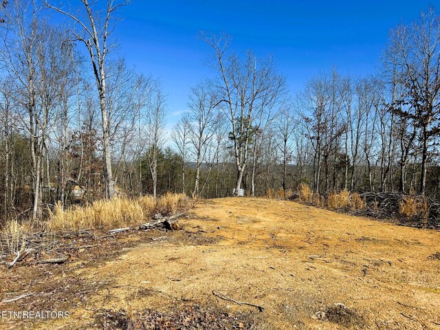 3211 N Hunter Bend Rd, Decatur, TN 37322 - photo 43