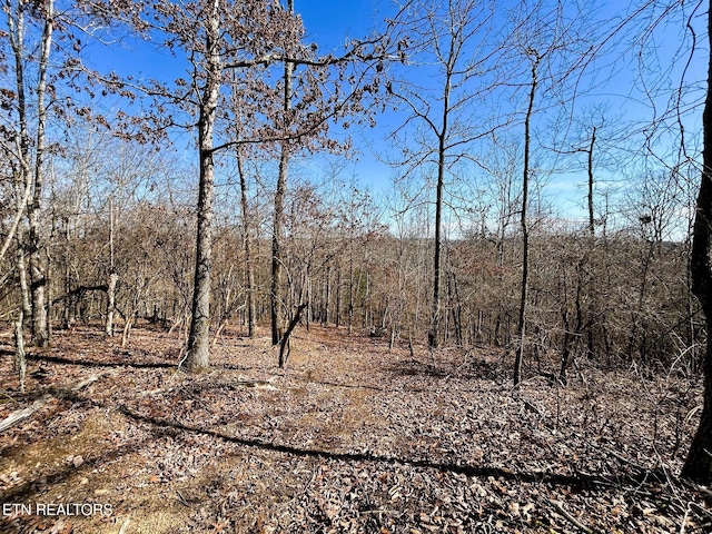 3211 N Hunter Bend Rd, Decatur, TN 37322 - photo 44