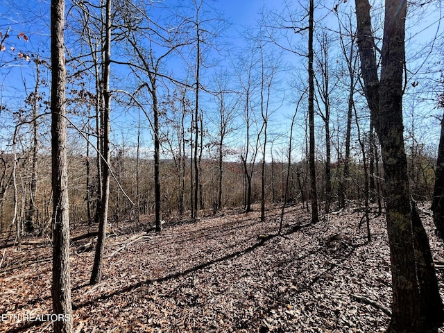 3211 N Hunter Bend Rd, Decatur, TN 37322 - photo 45
